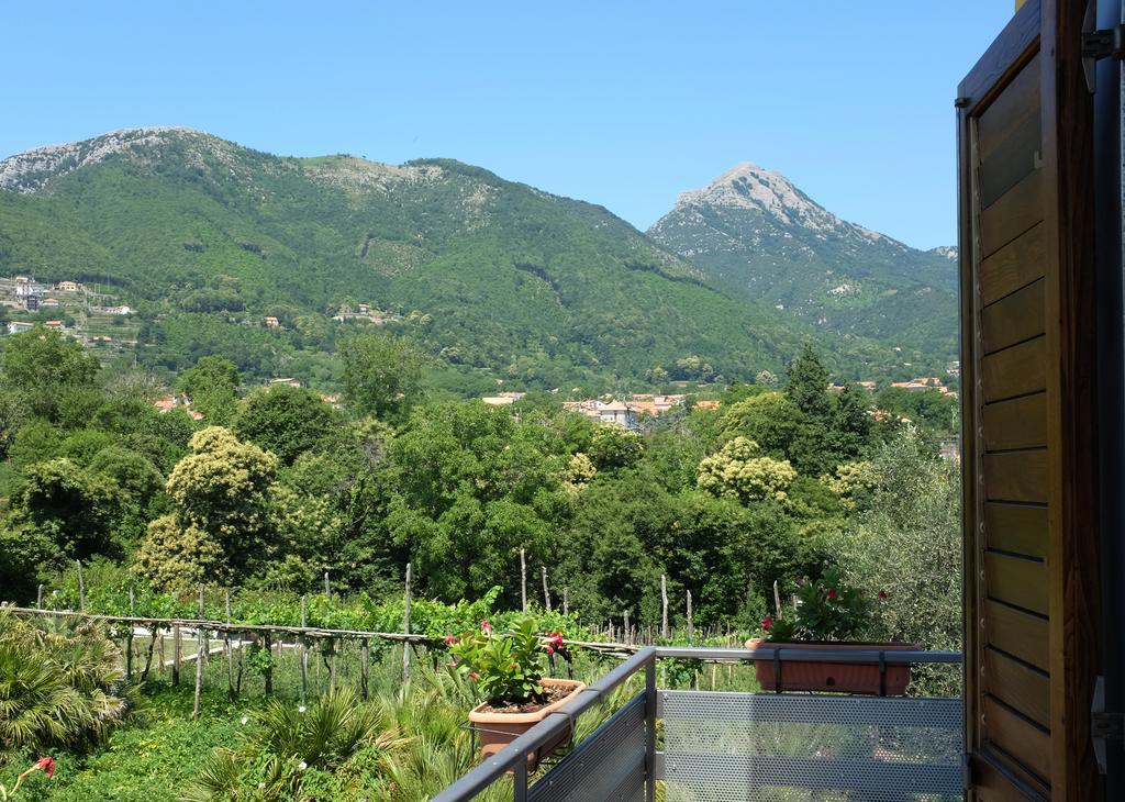 Villa Elisa Agerola Exterior foto