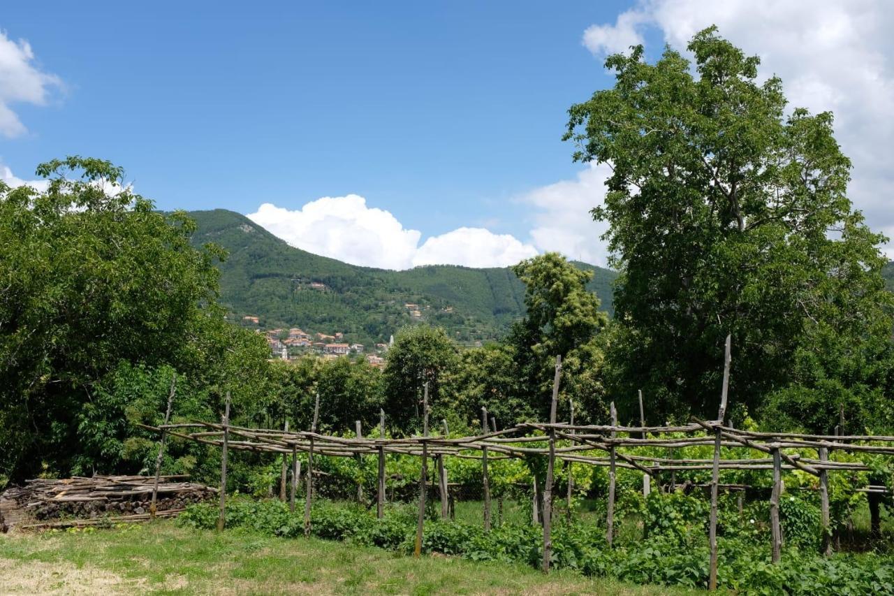 Villa Elisa Agerola Exterior foto